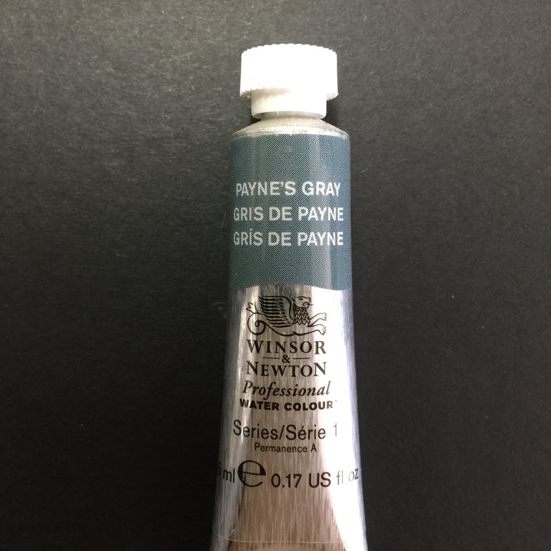 Winsor & Newton Professional Watercolour Paynes Gray -Series 1 - 5ml tube (465)