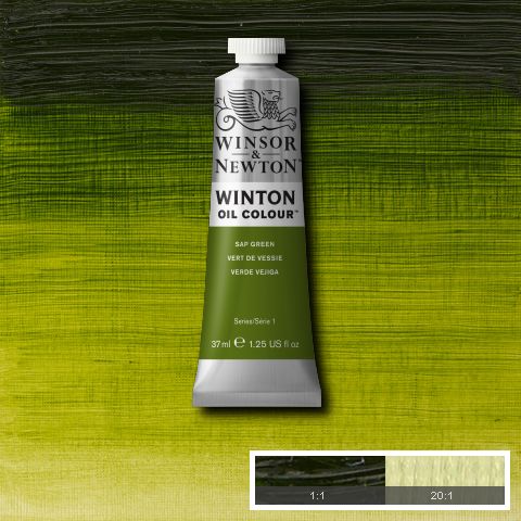 Winton Oil Colour Sap Green - 37ml tube