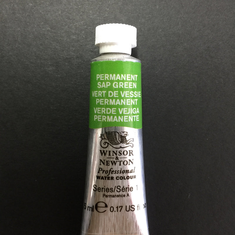Winsor & Newton Professional Watercolour Permanent Sap Green - Series 1 - 5ml tube (503)