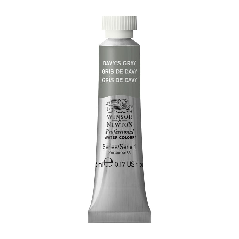 Winsor & Newton Professional Watercolour Davys Grey - Series 1 - 5ml tube (…)